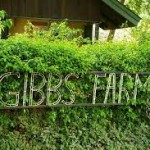 Gibbs farm 3.